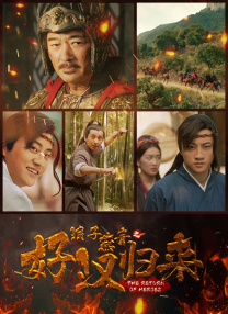 成年人视频在线免费观看